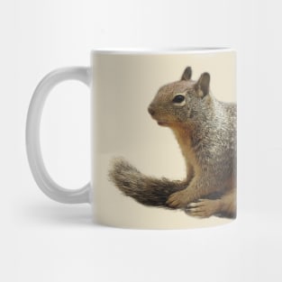 Squirrel, wildlife, Squirrely Cuteness Mug